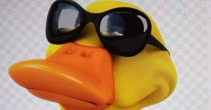 Pertti's Stompin' Duck 
